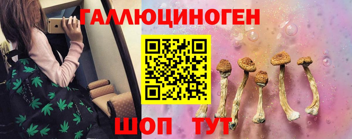 Псилоцибиновые грибы мухоморы Острогожск